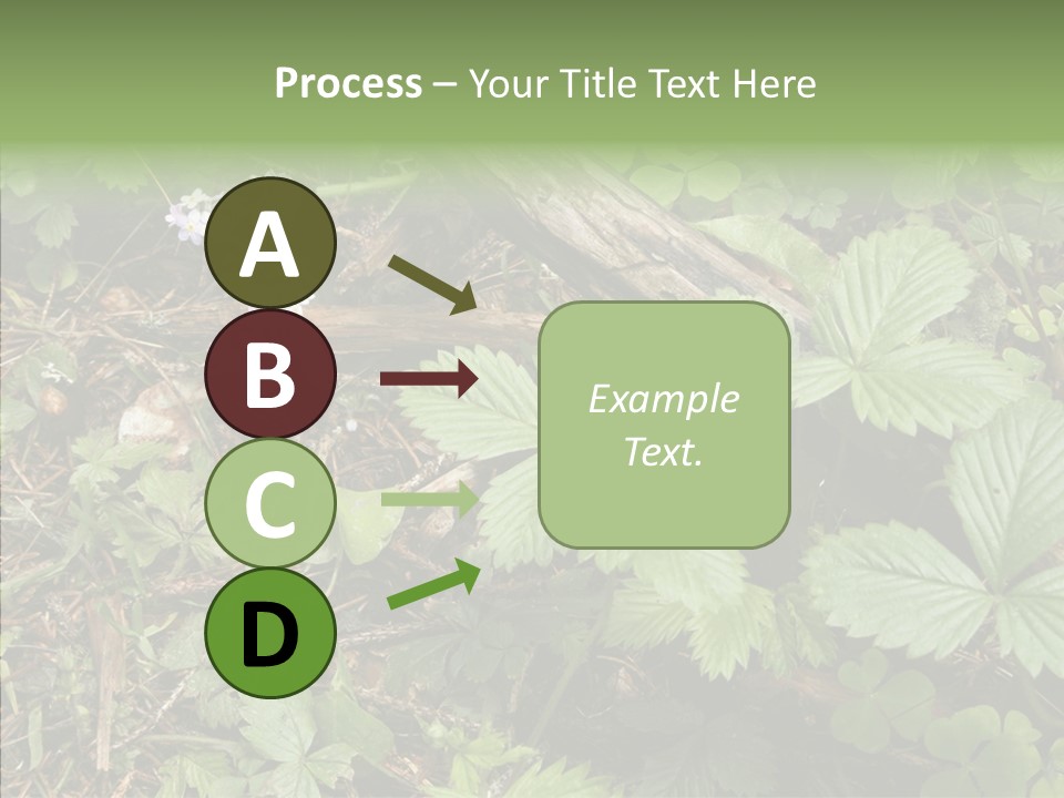 Generic Grass Leafs PowerPoint Template