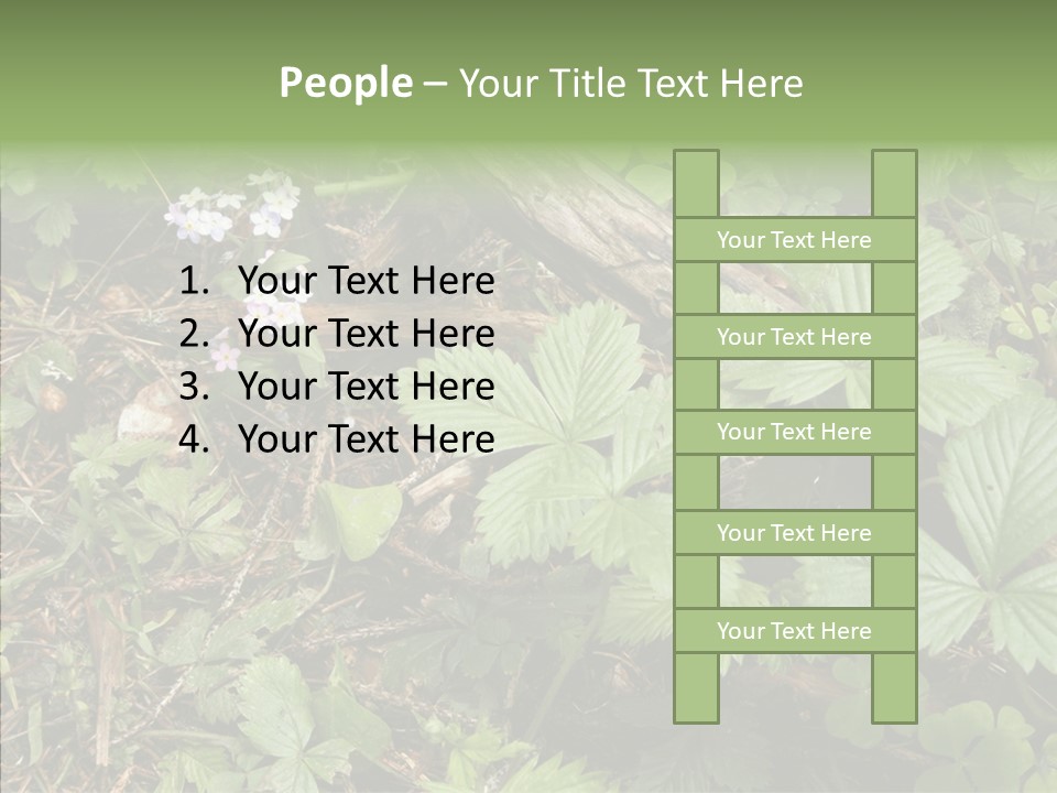 Generic Grass Leafs PowerPoint Template
