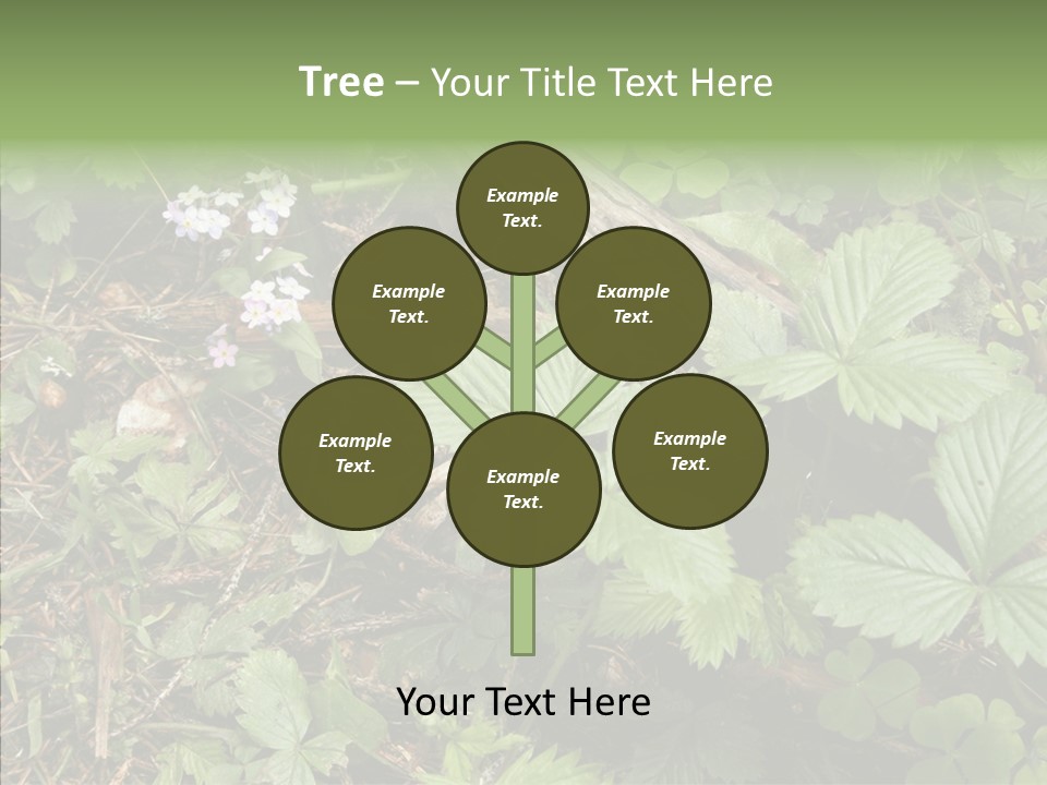 Generic Grass Leafs PowerPoint Template