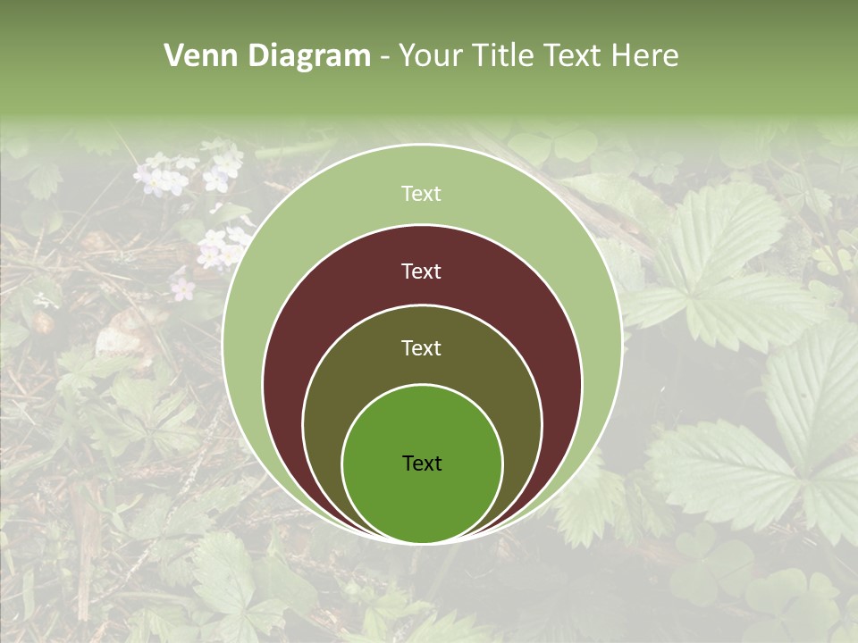 Generic Grass Leafs PowerPoint Template
