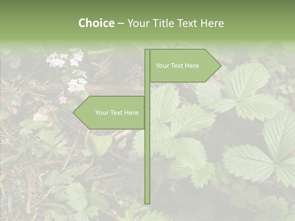 Generic Grass Leafs PowerPoint Template