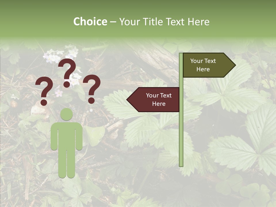 Generic Grass Leafs PowerPoint Template