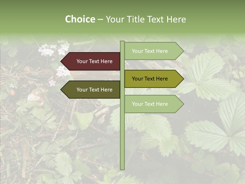 Generic Grass Leafs PowerPoint Template