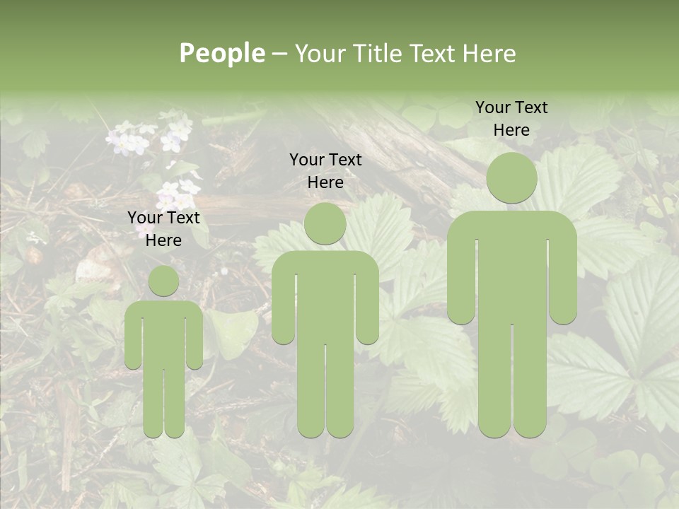 Generic Grass Leafs PowerPoint Template