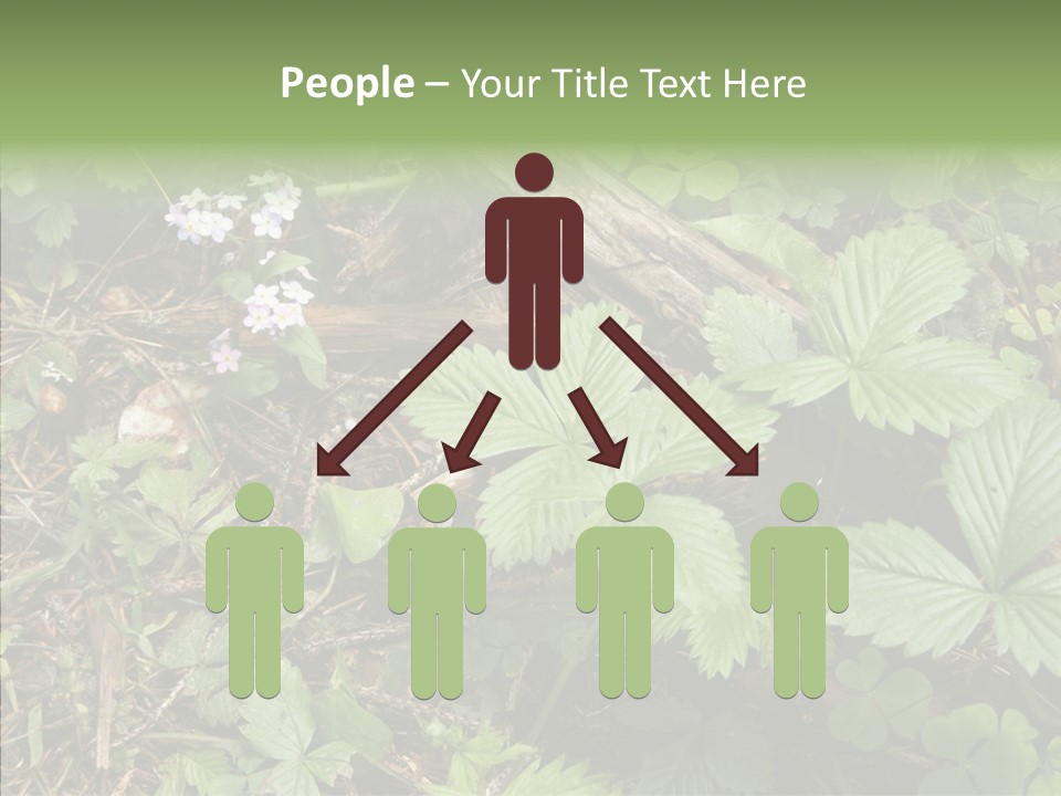 Generic Grass Leafs PowerPoint Template