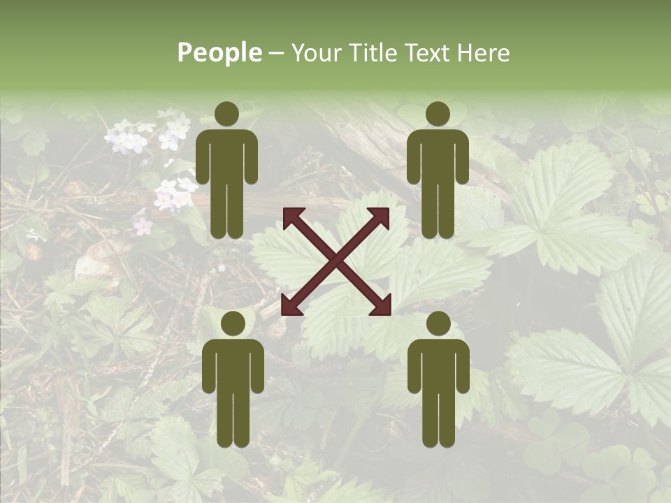 Generic Grass Leafs PowerPoint Template