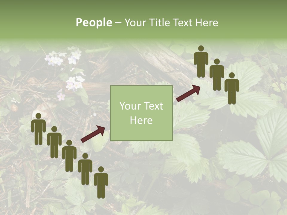 Generic Grass Leafs PowerPoint Template