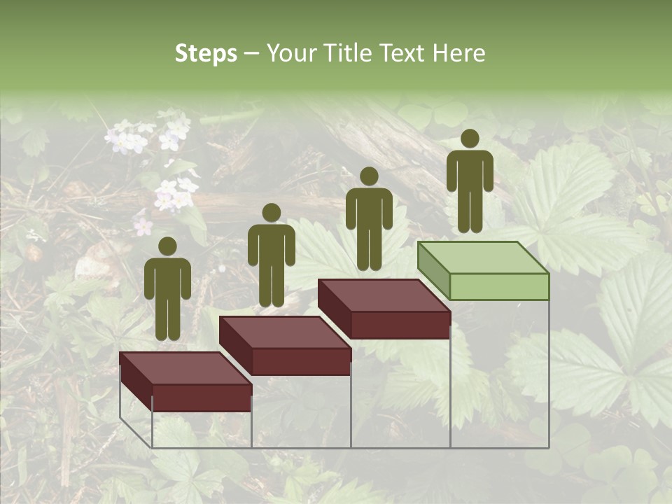 Generic Grass Leafs PowerPoint Template