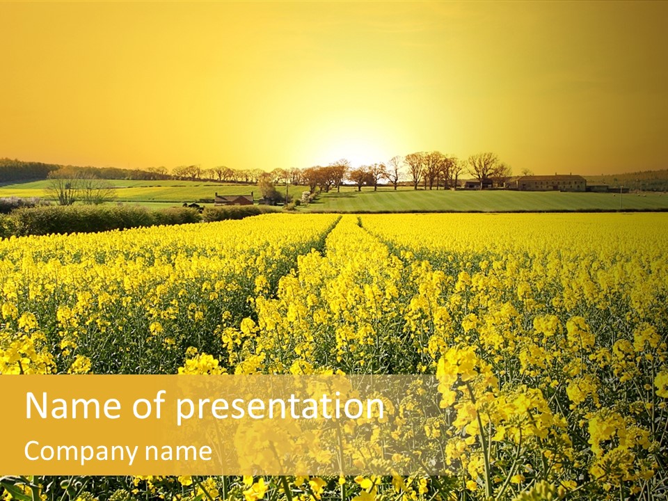 Landscape Rural Golden PowerPoint Template