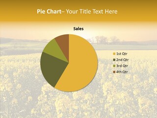 Landscape Rural Golden PowerPoint Template