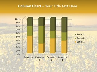 Landscape Rural Golden PowerPoint Template