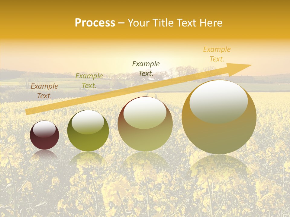 Landscape Rural Golden PowerPoint Template