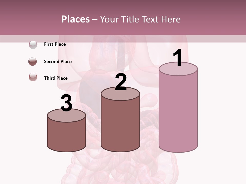 Bladder Cancer Lung PowerPoint Template