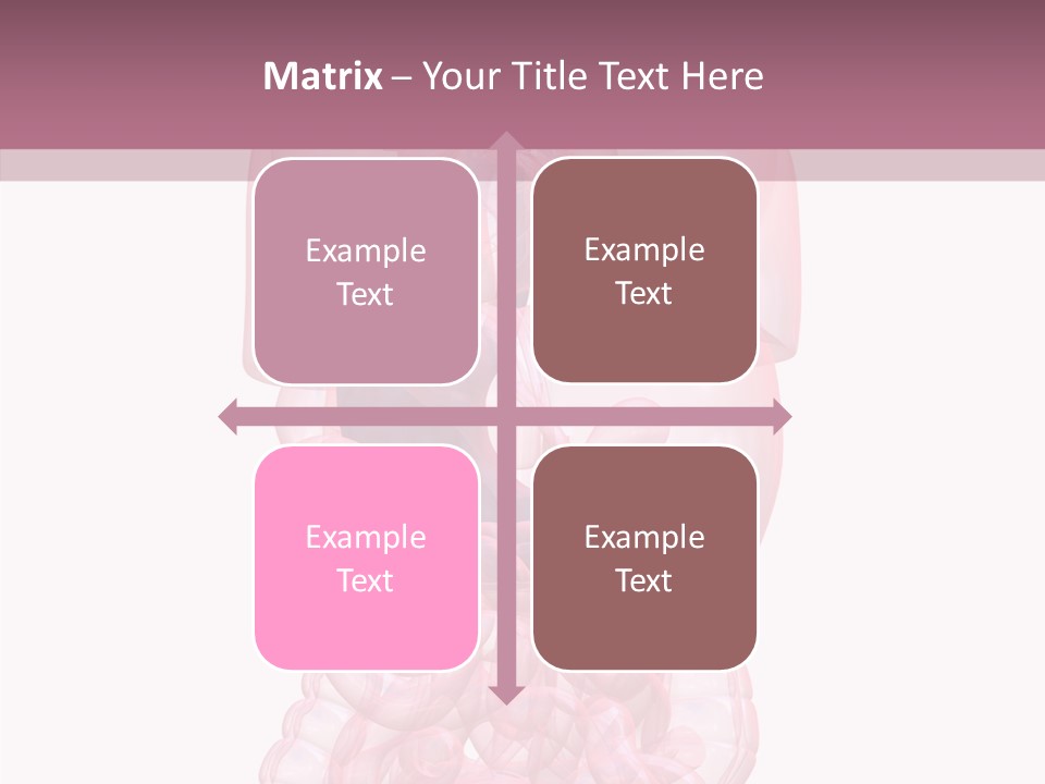 Bladder Cancer Lung PowerPoint Template