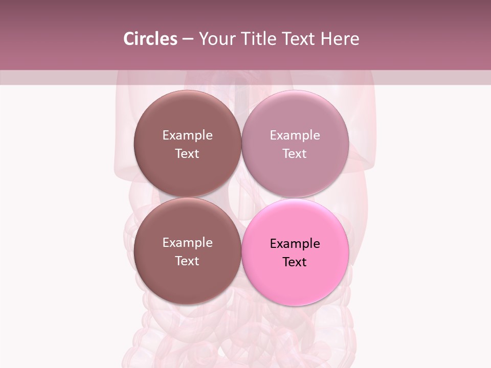 Bladder Cancer Lung PowerPoint Template