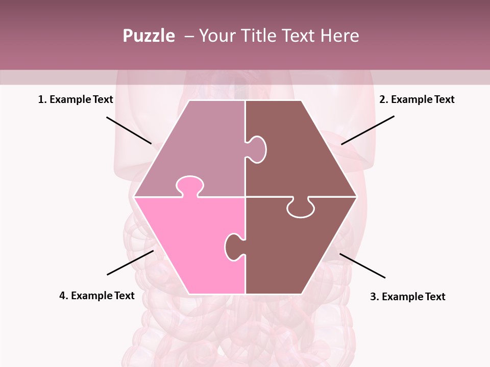 Bladder Cancer Lung PowerPoint Template