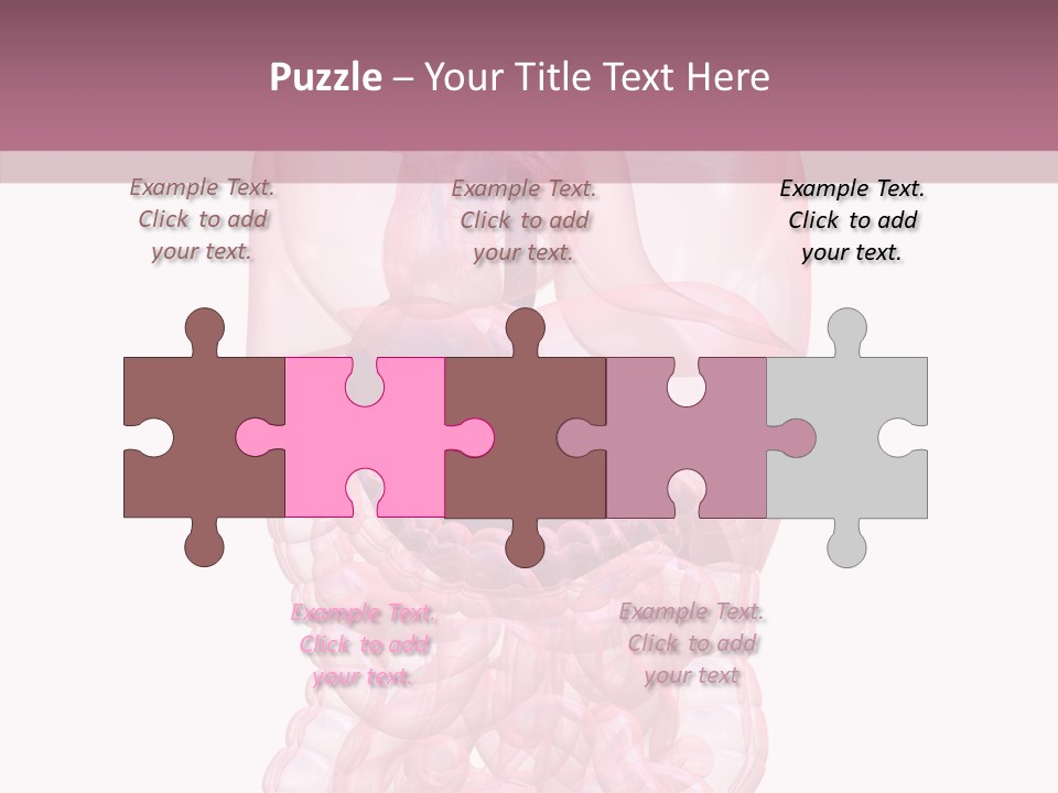 Bladder Cancer Lung PowerPoint Template