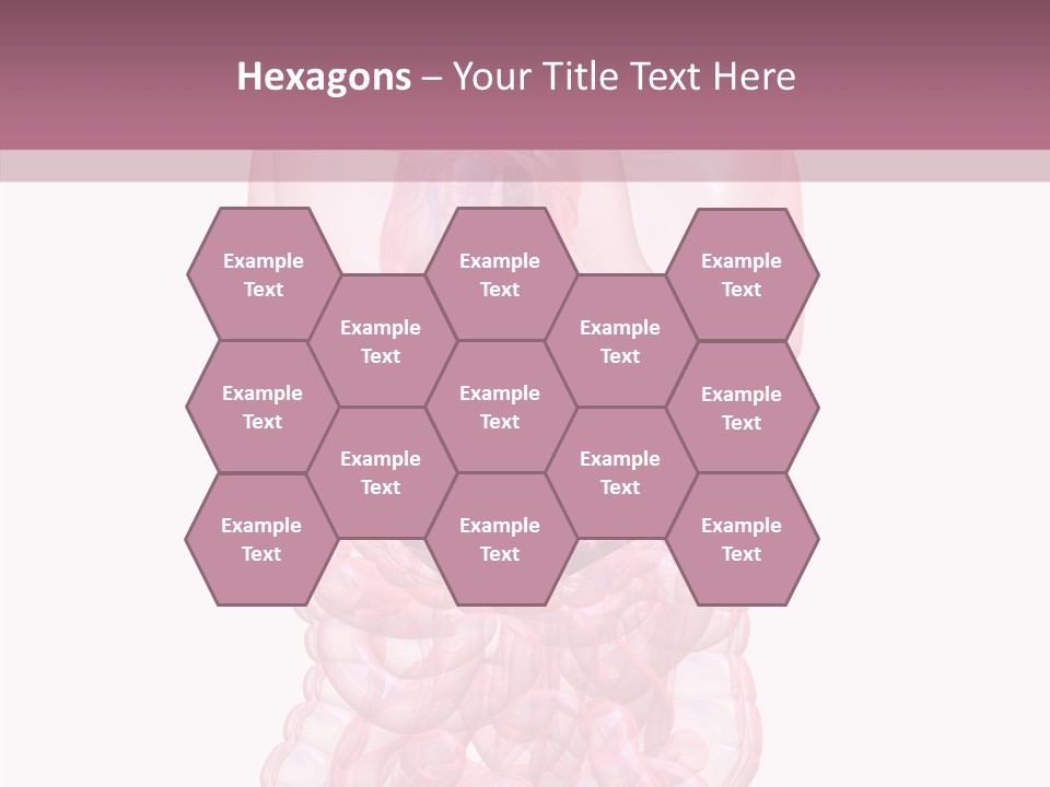 Bladder Cancer Lung PowerPoint Template