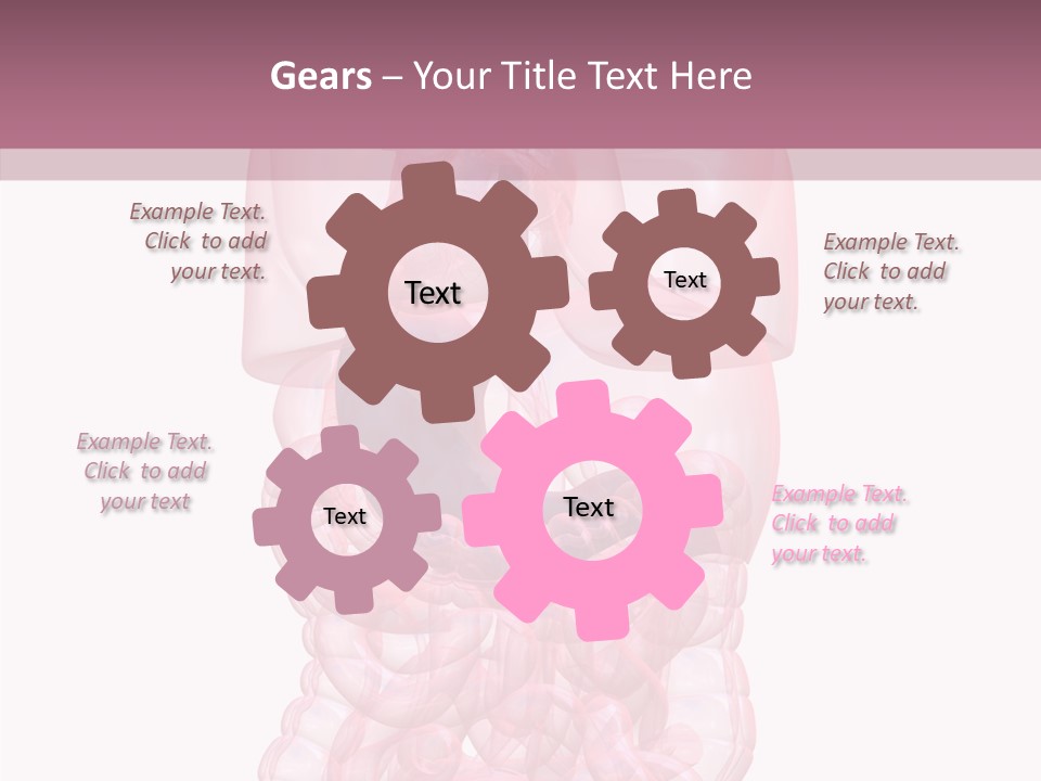 Bladder Cancer Lung PowerPoint Template