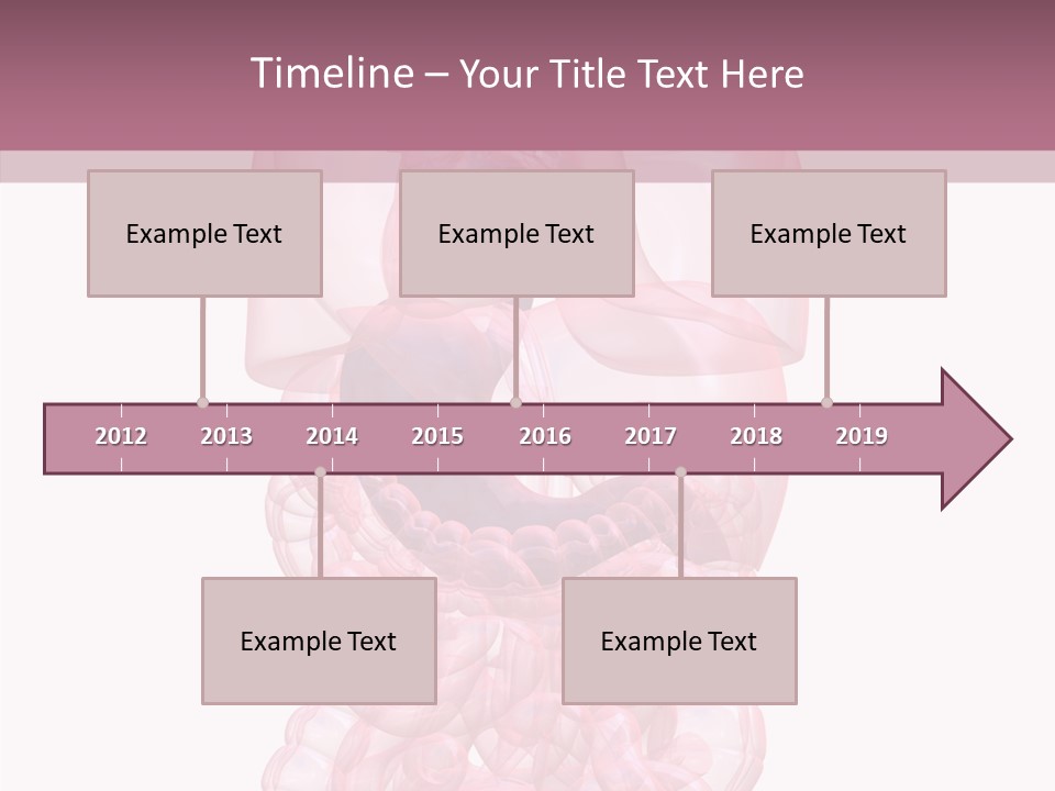 Bladder Cancer Lung PowerPoint Template