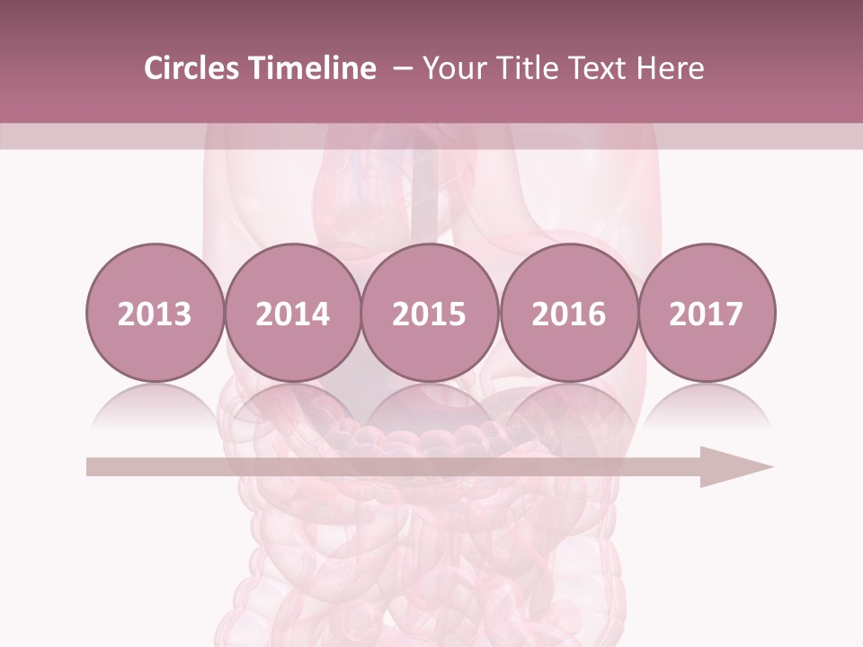 Bladder Cancer Lung PowerPoint Template