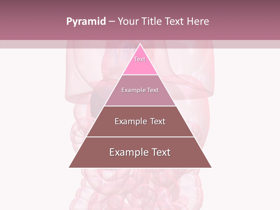 Bladder Cancer Lung PowerPoint Template