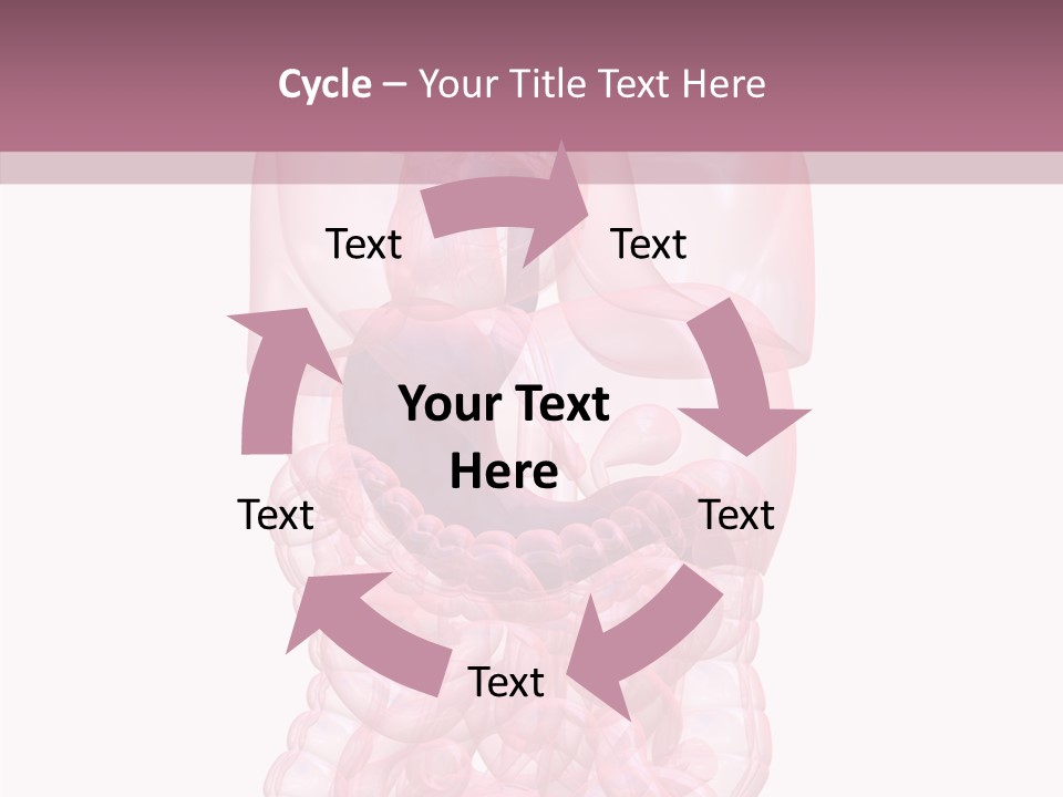 Bladder Cancer Lung PowerPoint Template