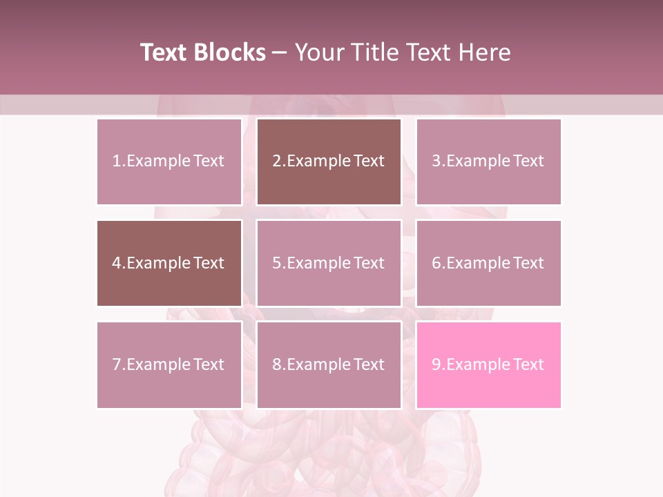Bladder Cancer Lung PowerPoint Template