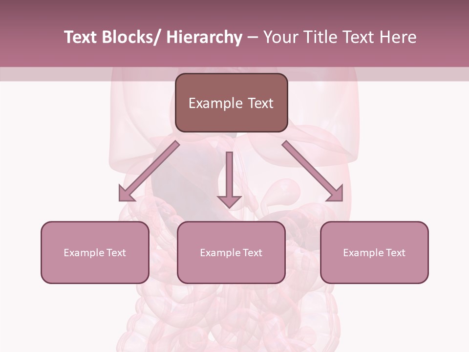 Bladder Cancer Lung PowerPoint Template