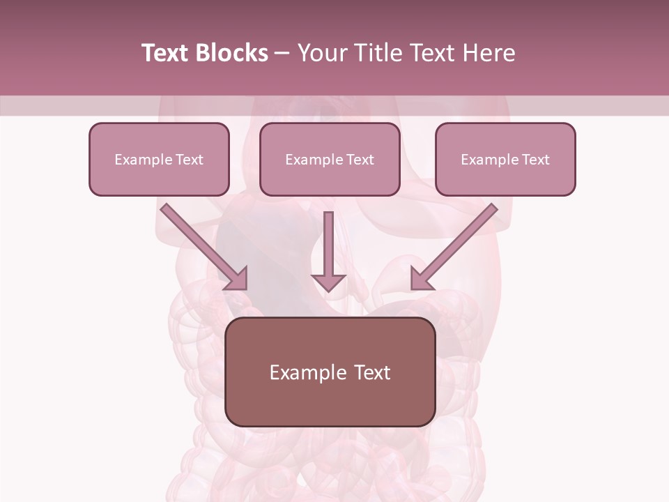 Bladder Cancer Lung PowerPoint Template