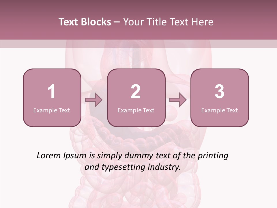 Bladder Cancer Lung PowerPoint Template