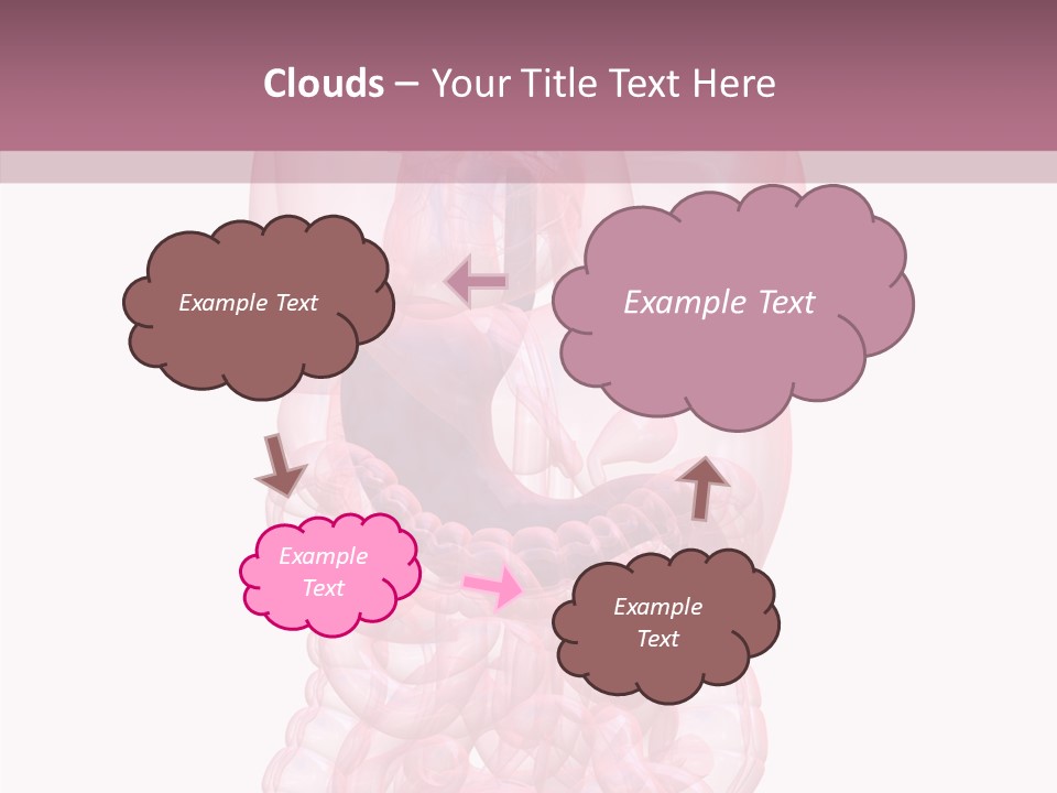 Bladder Cancer Lung PowerPoint Template