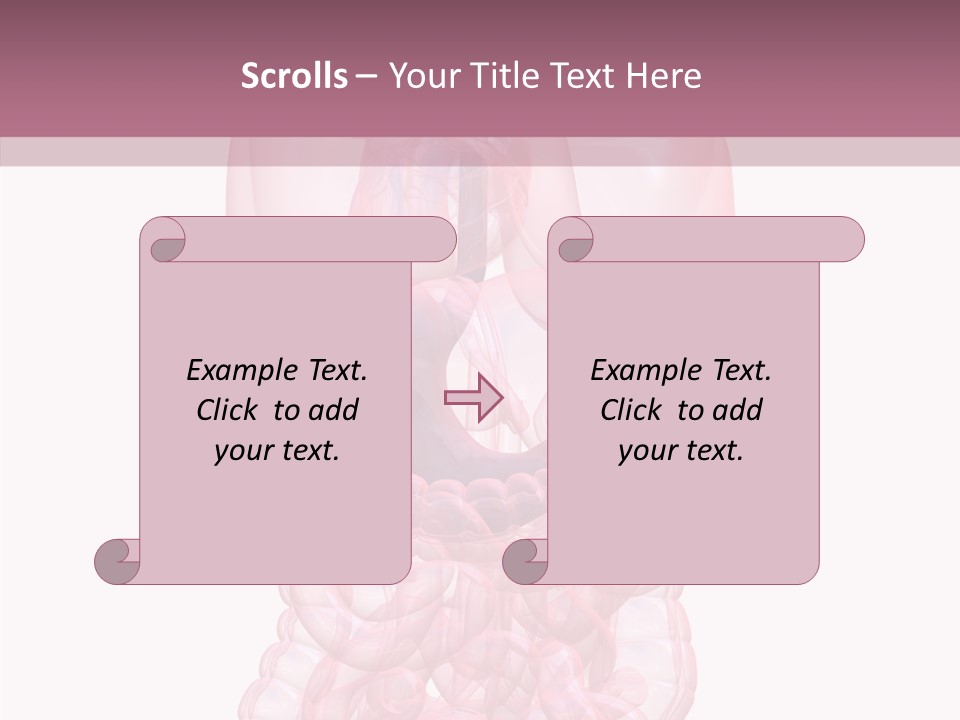 Bladder Cancer Lung PowerPoint Template