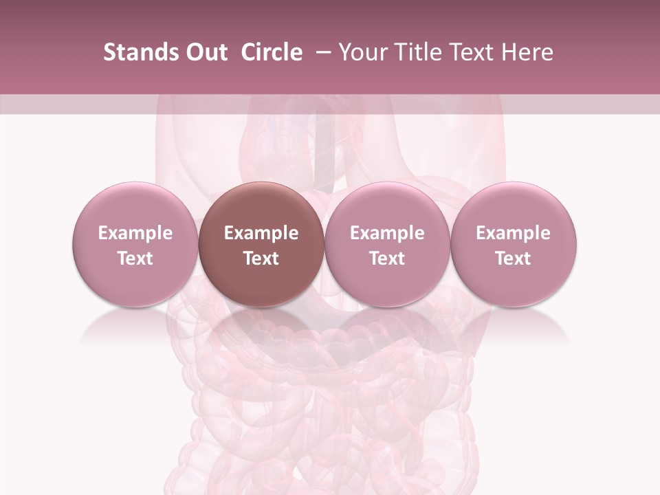 Bladder Cancer Lung PowerPoint Template