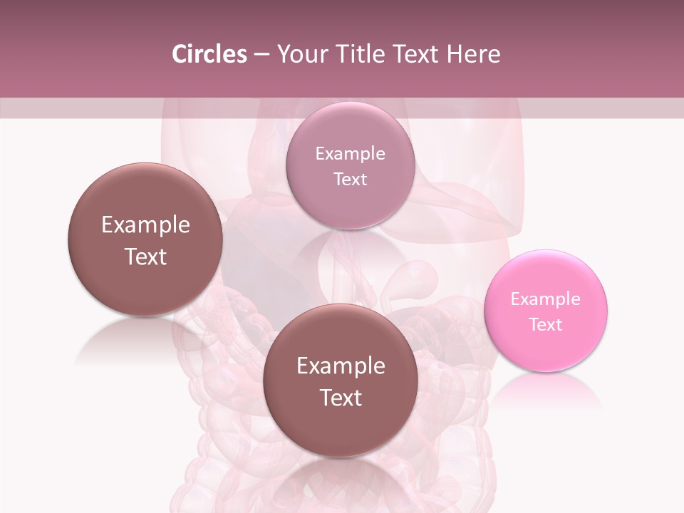 Bladder Cancer Lung PowerPoint Template