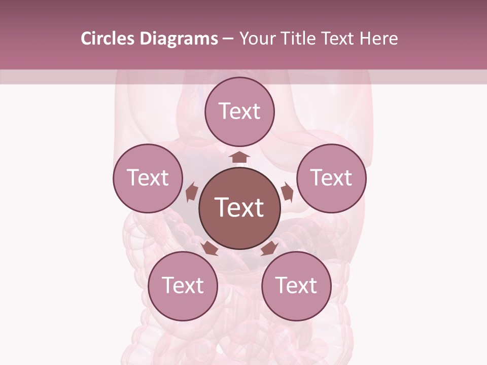 Bladder Cancer Lung PowerPoint Template