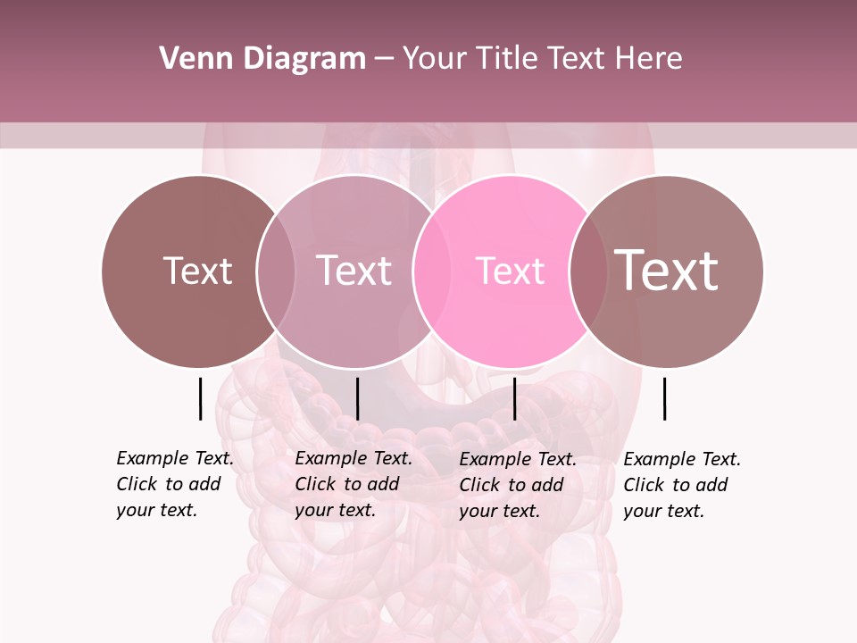 Bladder Cancer Lung PowerPoint Template