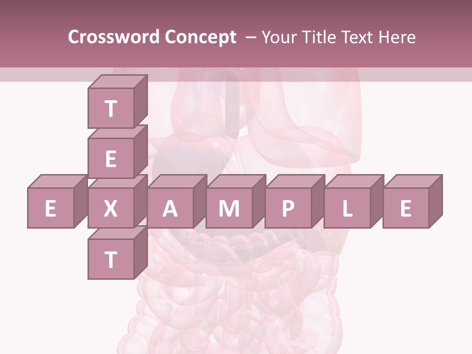 Bladder Cancer Lung PowerPoint Template