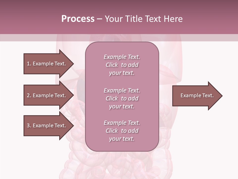 Bladder Cancer Lung PowerPoint Template