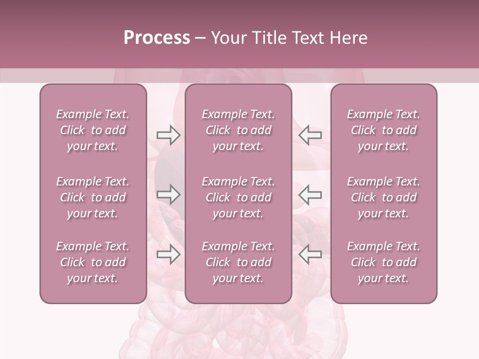 Bladder Cancer Lung PowerPoint Template