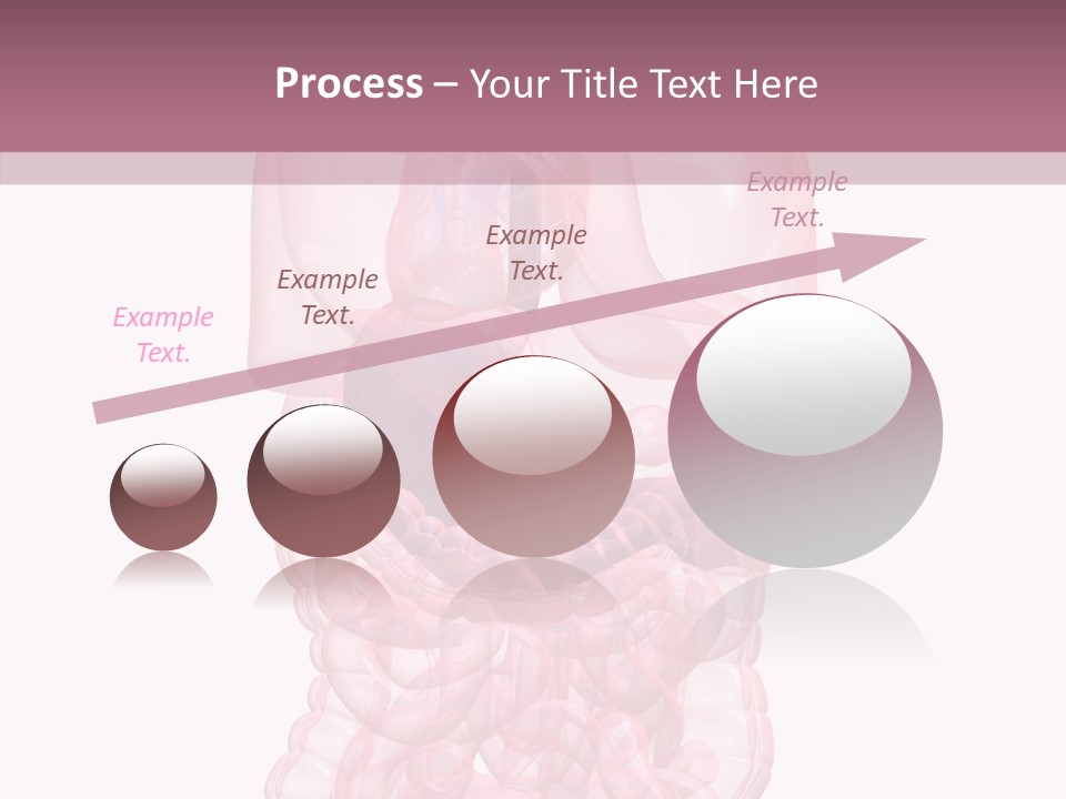 Bladder Cancer Lung PowerPoint Template