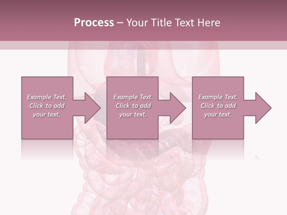 Bladder Cancer Lung PowerPoint Template