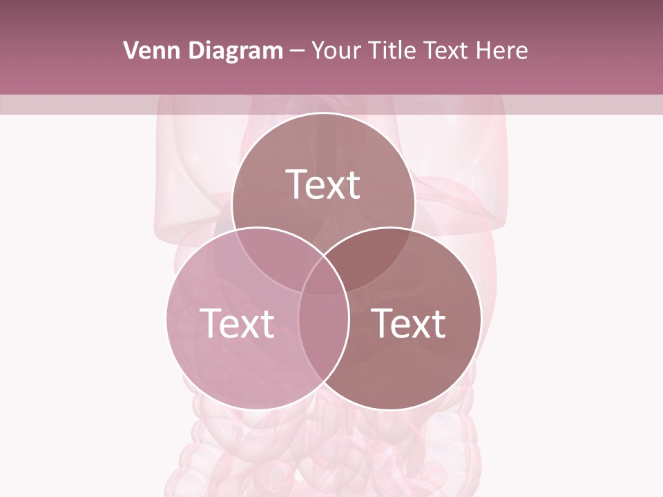 Bladder Cancer Lung PowerPoint Template