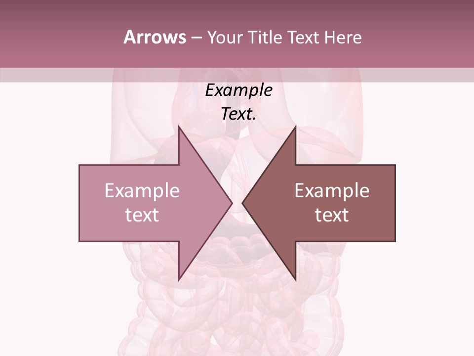 Bladder Cancer Lung PowerPoint Template