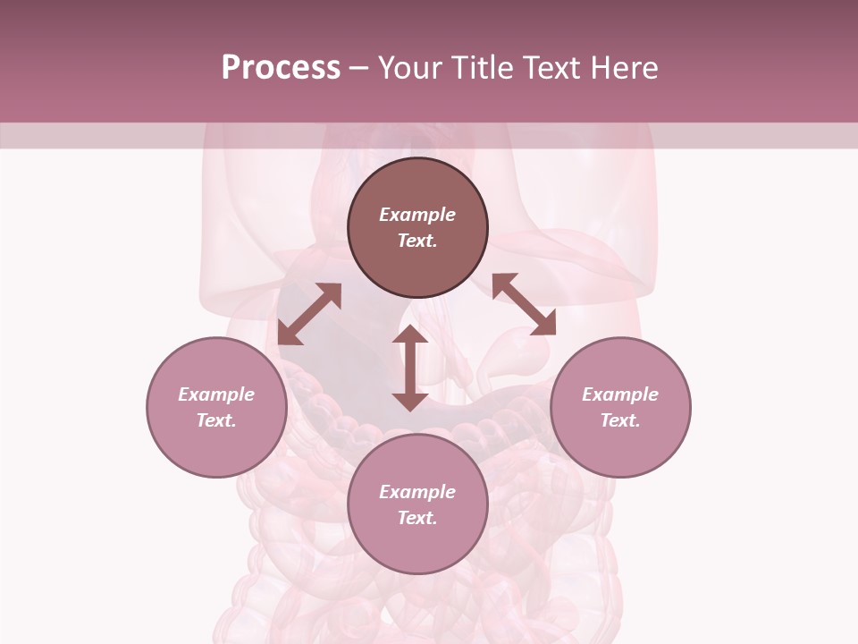 Bladder Cancer Lung PowerPoint Template
