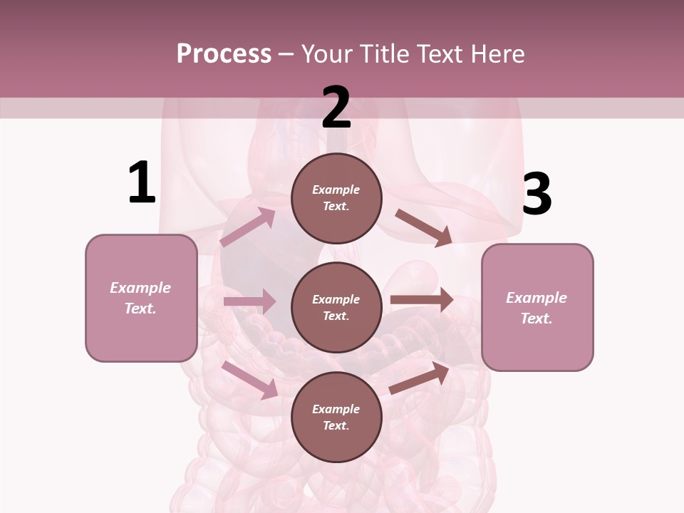 Bladder Cancer Lung PowerPoint Template