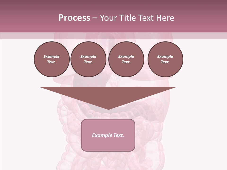 Bladder Cancer Lung PowerPoint Template