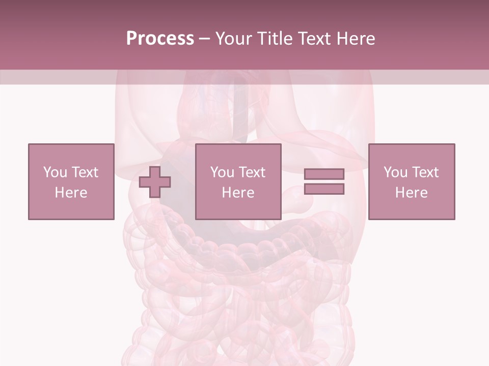Bladder Cancer Lung PowerPoint Template