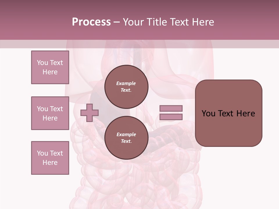 Bladder Cancer Lung PowerPoint Template