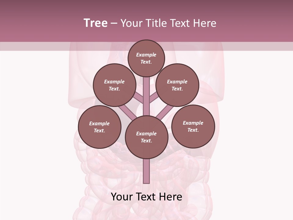 Bladder Cancer Lung PowerPoint Template
